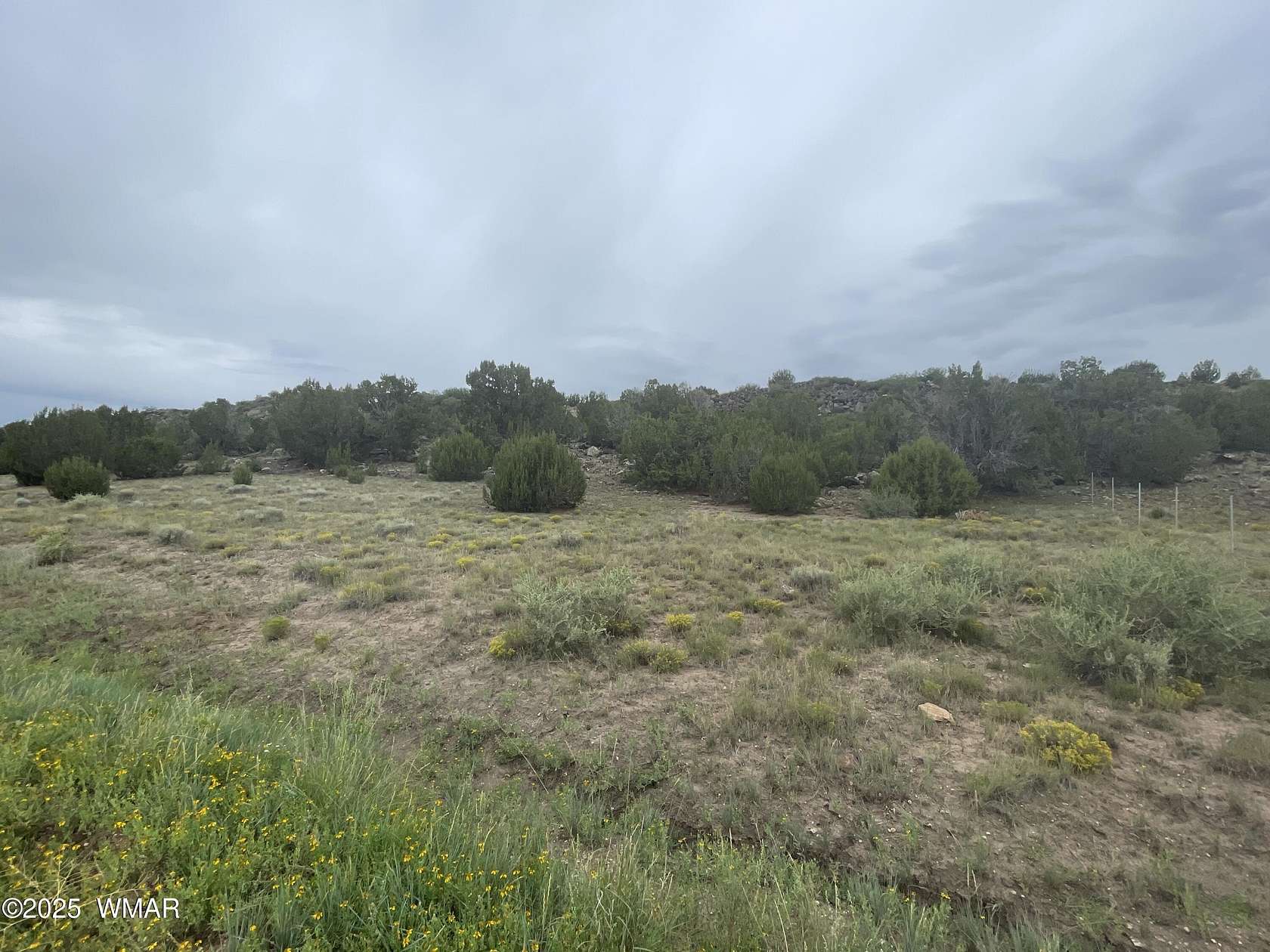 1.25 Acres of Residential Land for Sale in Concho, Arizona