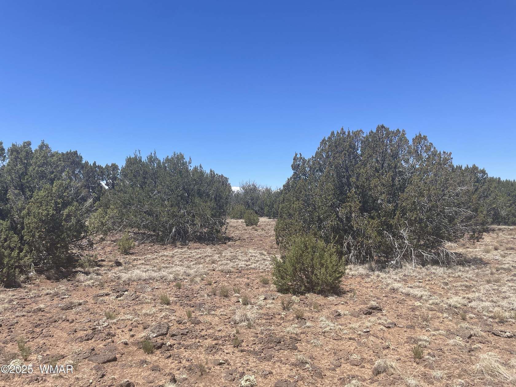 1.15 Acres of Land for Sale in Concho, Arizona
