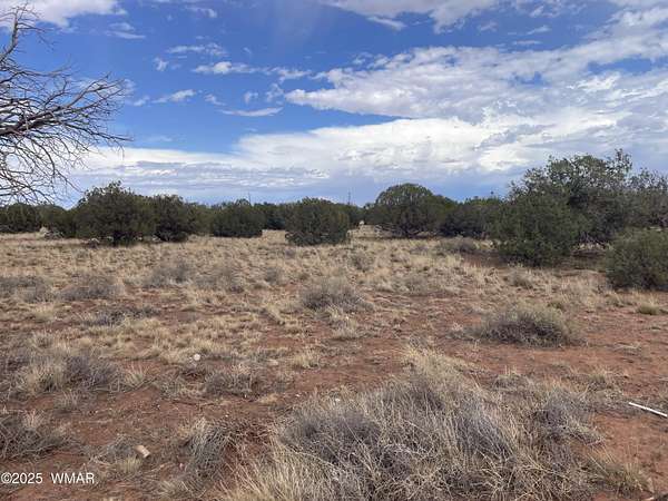 1.32 Acres of Land for Sale in Snowflake, Arizona