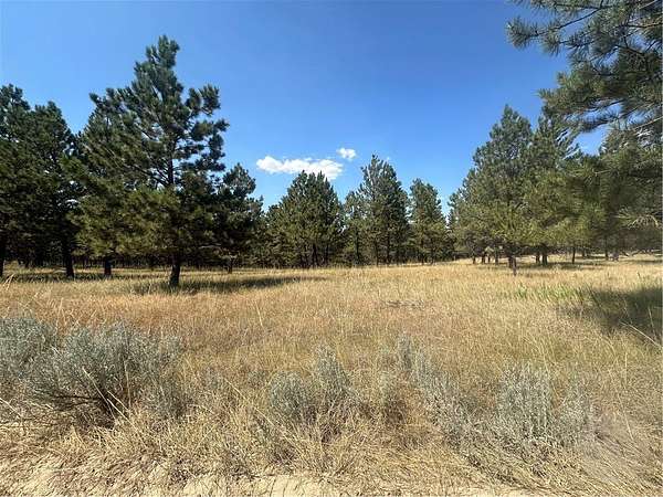 20 Acres of Recreational Land for Sale in Roundup, Montana