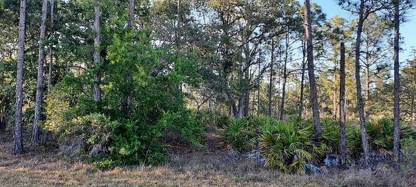 0.5 Acres of Residential Land for Sale in Indian Lake Estates, Florida