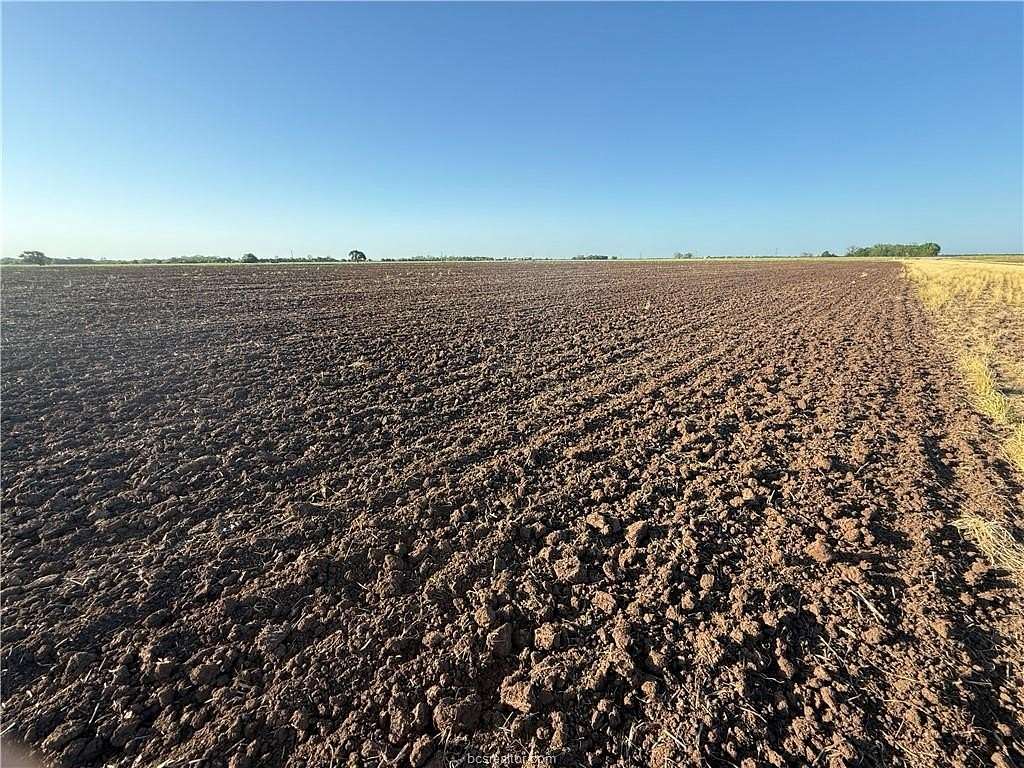 203 Acres of Agricultural Land for Sale in Snook, Texas