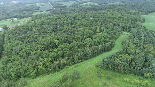 50 Acres of Recreational Land for Sale in Mondovi, Wisconsin