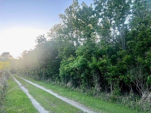 5 Acres of Residential Land for Sale in Theodore, Alabama