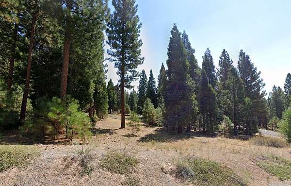1 Acre of Residential Land for Sale in Portola, California