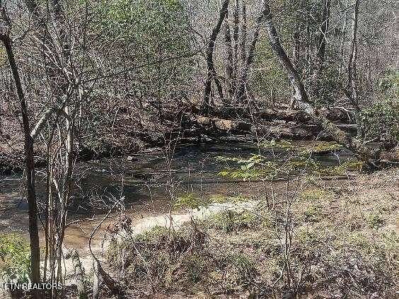 6 Acres of Residential Land for Sale in Oakdale, Tennessee