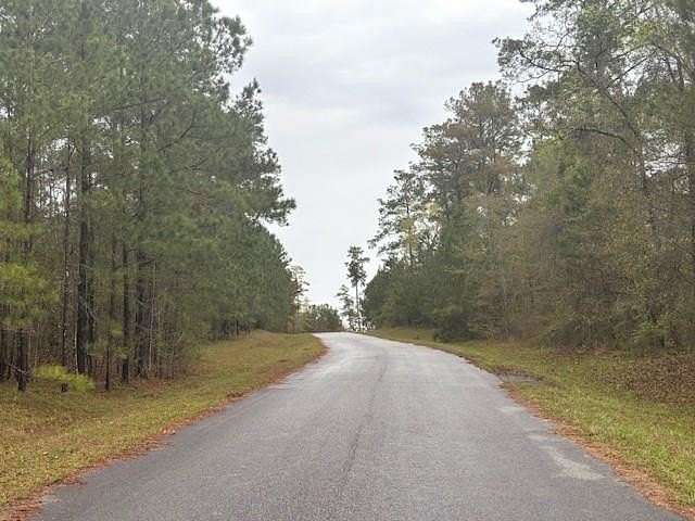 2.12 Acres of Residential Land for Sale in Bainbridge, Georgia