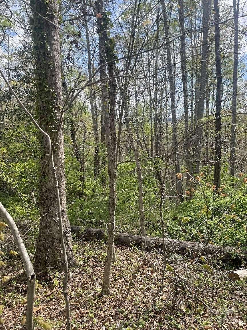 0.88 Acres of Residential Land for Sale in Asheville, North Carolina