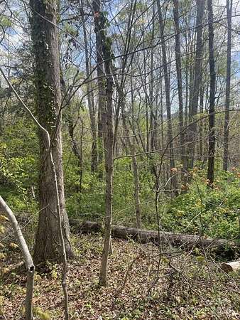0.88 Acres of Residential Land for Sale in Asheville, North Carolina