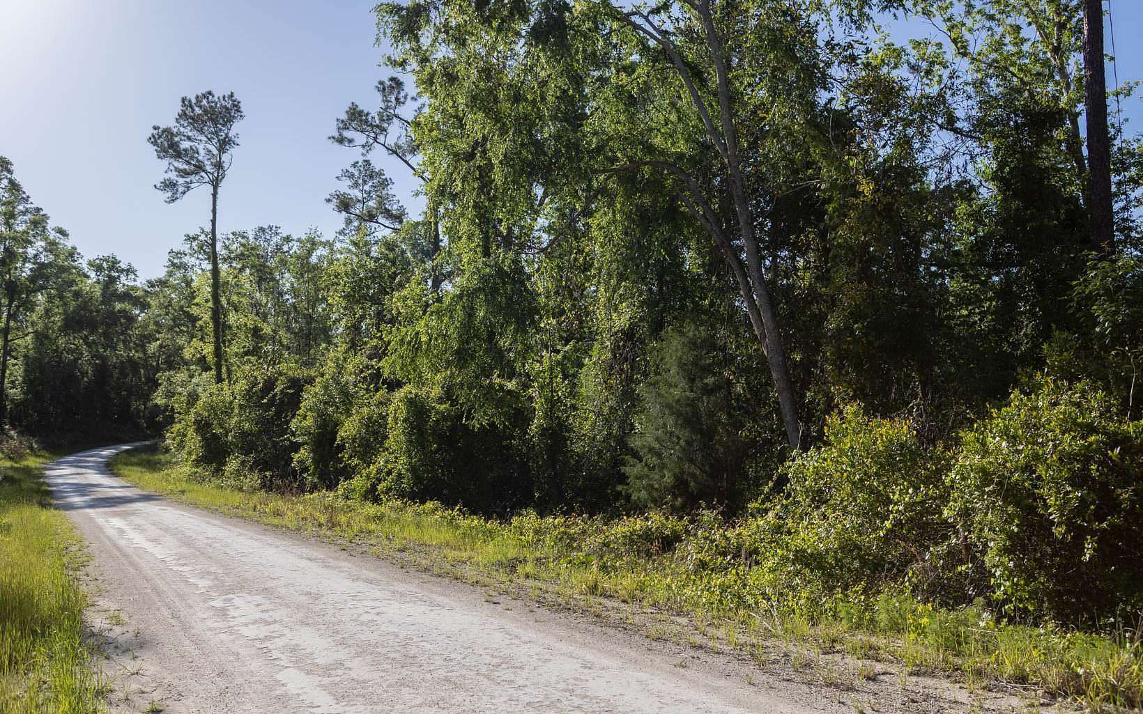 5.39 Acres of Residential Land for Sale in Live Oak, Florida