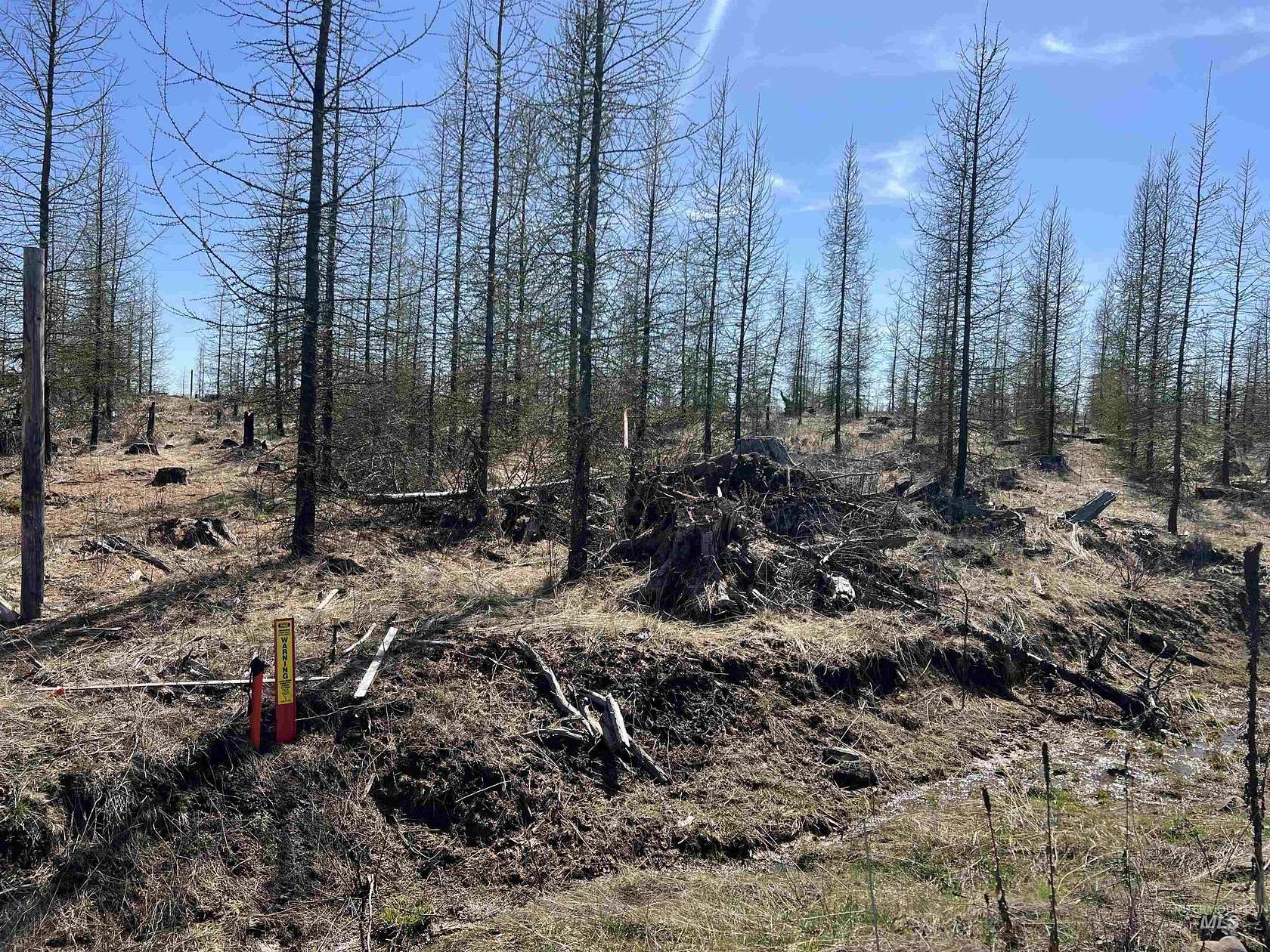 10 Acres of Residential Land for Sale in Orofino, Idaho