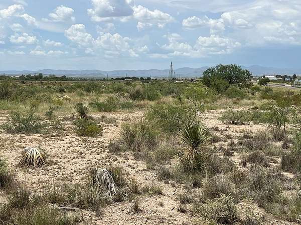22.6 Acres of Land for Sale in Marathon, Texas