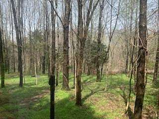 5.8 Acres of Residential Land for Sale in Campbellsville, Kentucky