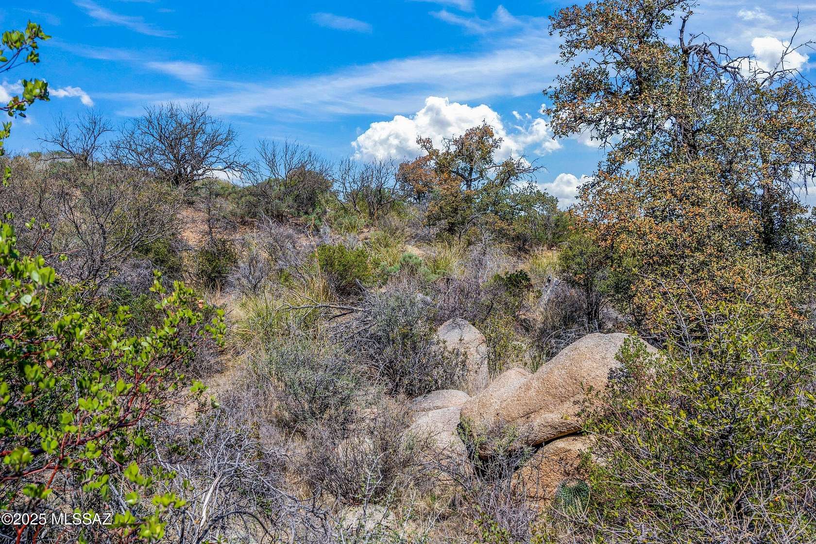 8.36 Acres of Residential Land for Sale in Oracle, Arizona