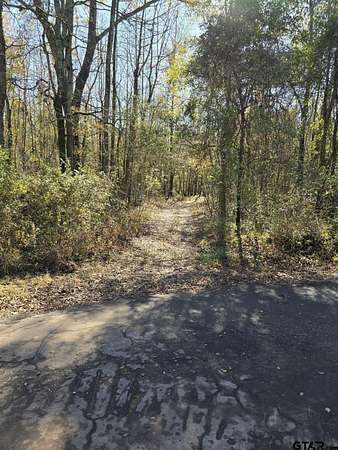 8.1 Acres of Land for Sale in Pittsburg, Texas