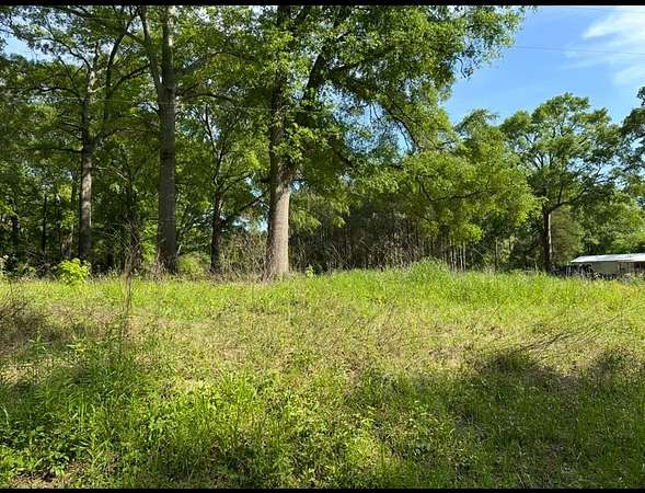 1 Acre of Residential Land for Sale in Nacogdoches, Texas