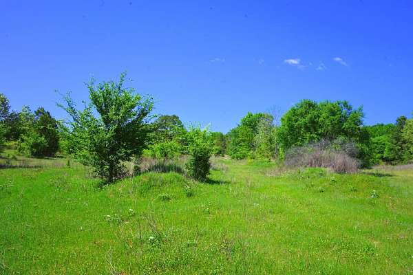 95.6 Acres of Agricultural Land for Sale in Chandler, Texas