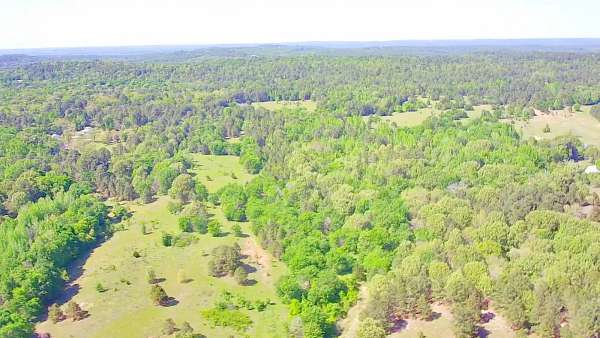 95.6 Acres of Agricultural Land for Sale in Chandler, Texas