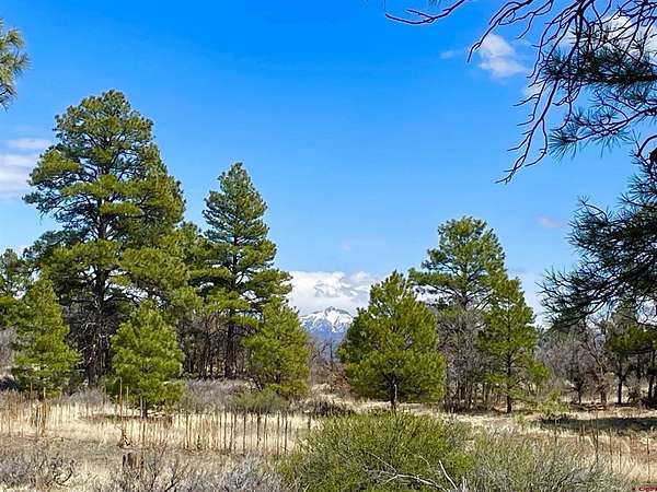 0.49 Acres of Residential Land for Sale in Pagosa Springs, Colorado