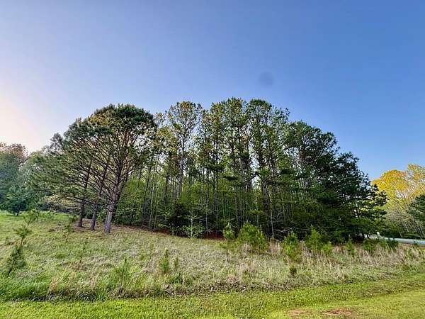 1 Acre of Residential Land for Sale in Cross Hill, South Carolina