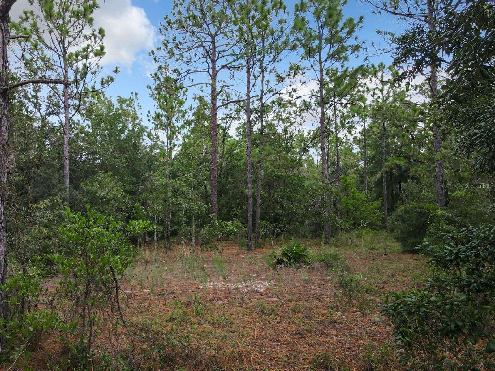 19.6 Acres of Land for Sale in Ocala, Florida
