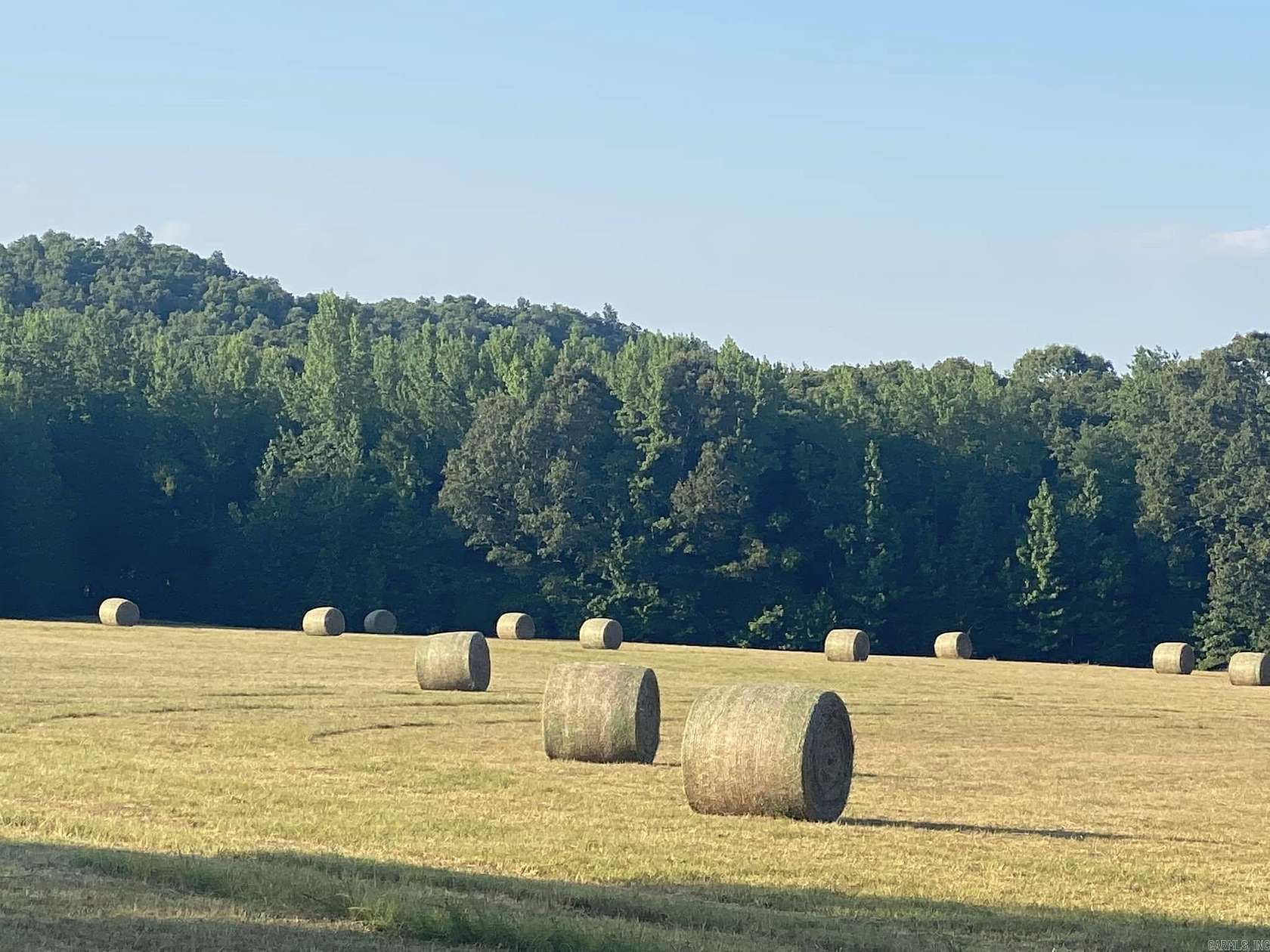 40 Acres of Recreational Land & Farm for Sale in Mount Vernon, Arkansas