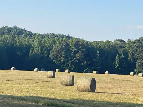 40 Acres of Recreational Land & Farm for Sale in Mount Vernon, Arkansas