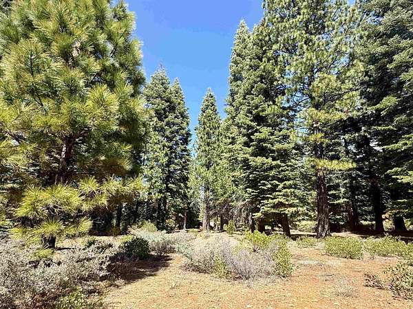0.37 Acres of Residential Land for Sale in Lake Almanor Peninsula, California