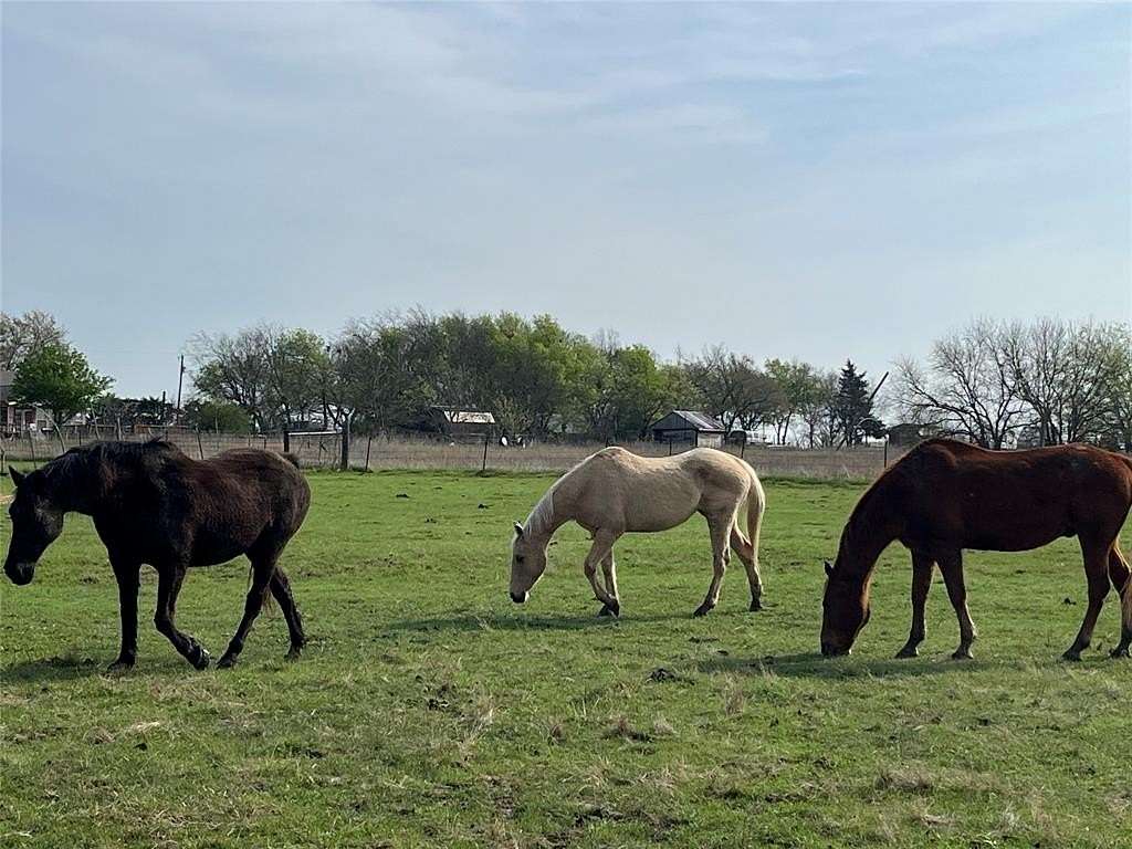 16 Acres of Land for Sale in Commerce, Texas