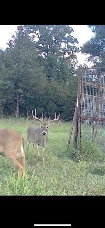 305 Acres of Recreational Land & Farm for Sale in Gordon, Texas