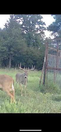 305 Acres of Recreational Land & Farm for Sale in Gordon, Texas