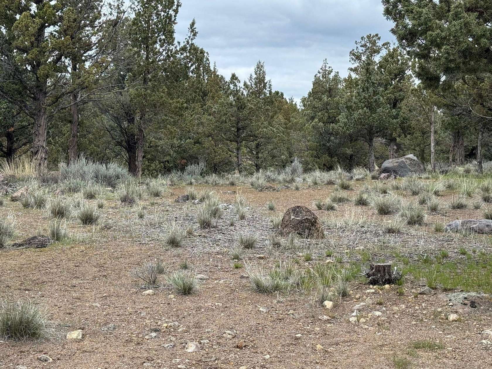 0.23 Acres of Residential Land for Sale in Weed, California