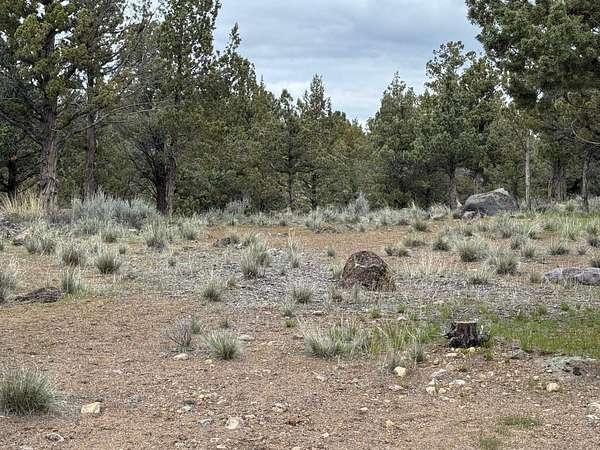 0.23 Acres of Land for Sale in Weed, California