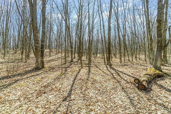 10.1 Acres of Recreational Land for Sale in Gladwin, Michigan