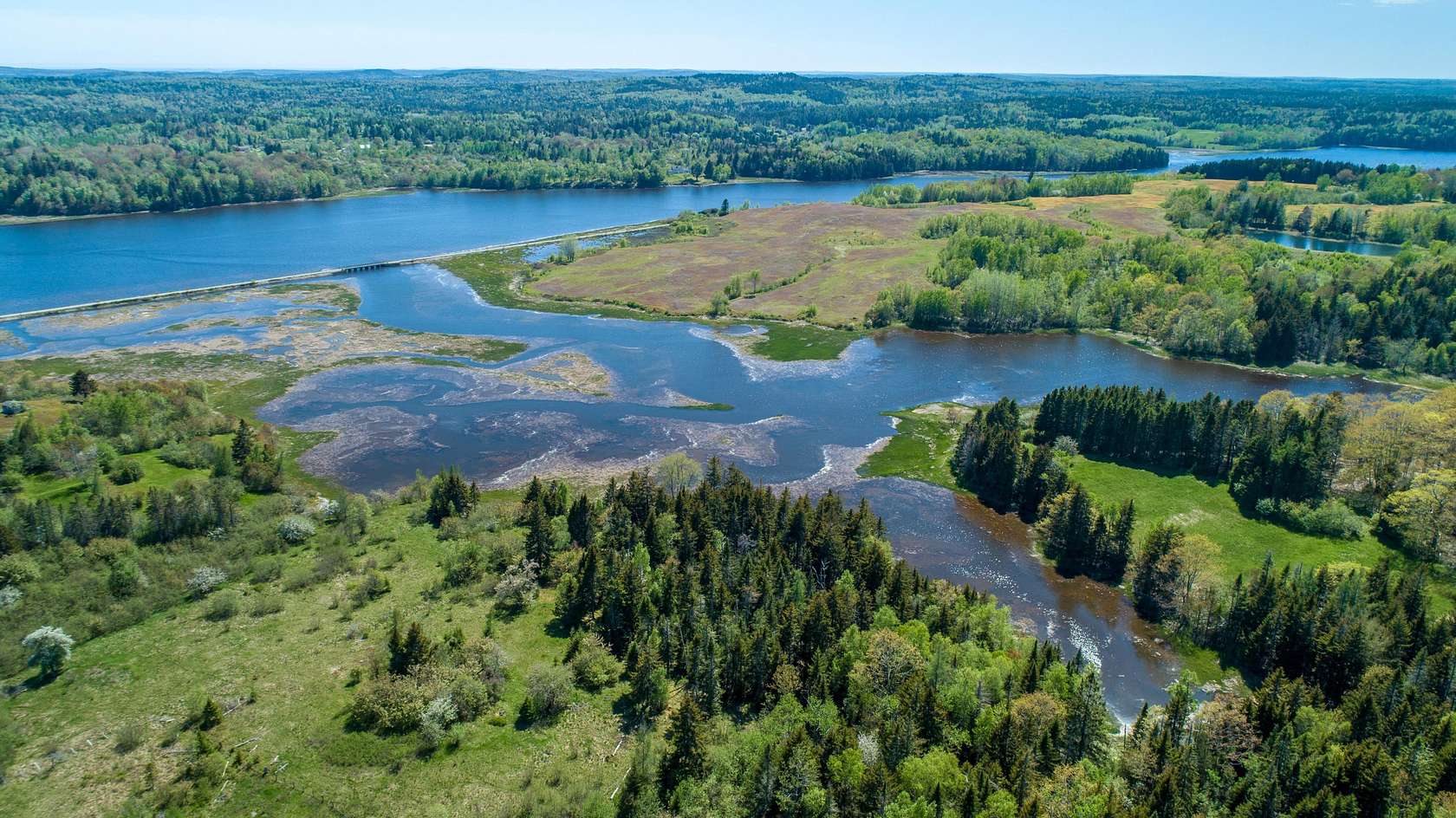 7.3 Acres of Land for Sale in East Machias, Maine