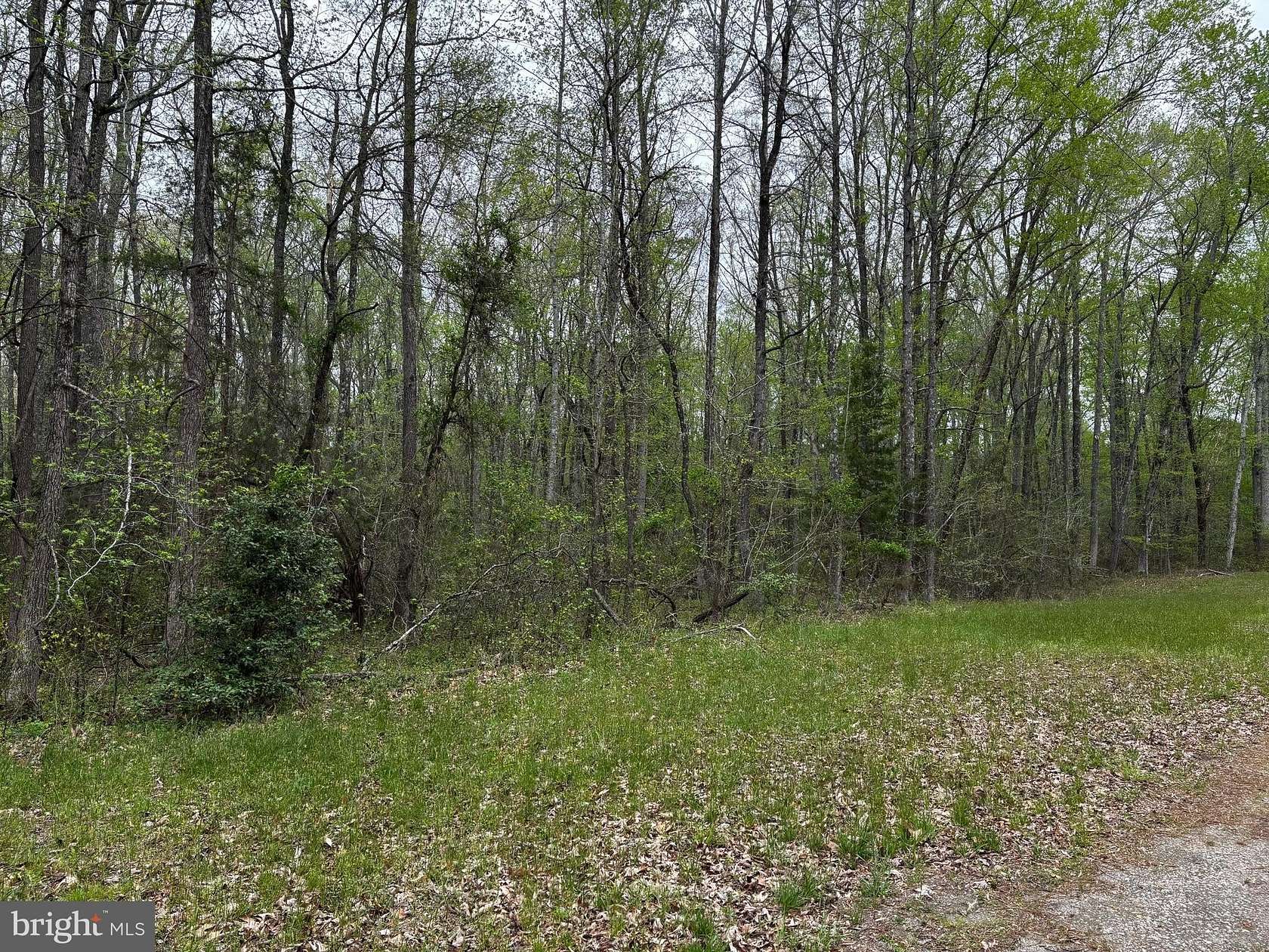 55 Acres of Recreational Land for Sale in Woodford, Virginia