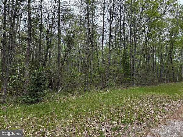 55 Acres of Recreational Land for Sale in Woodford, Virginia