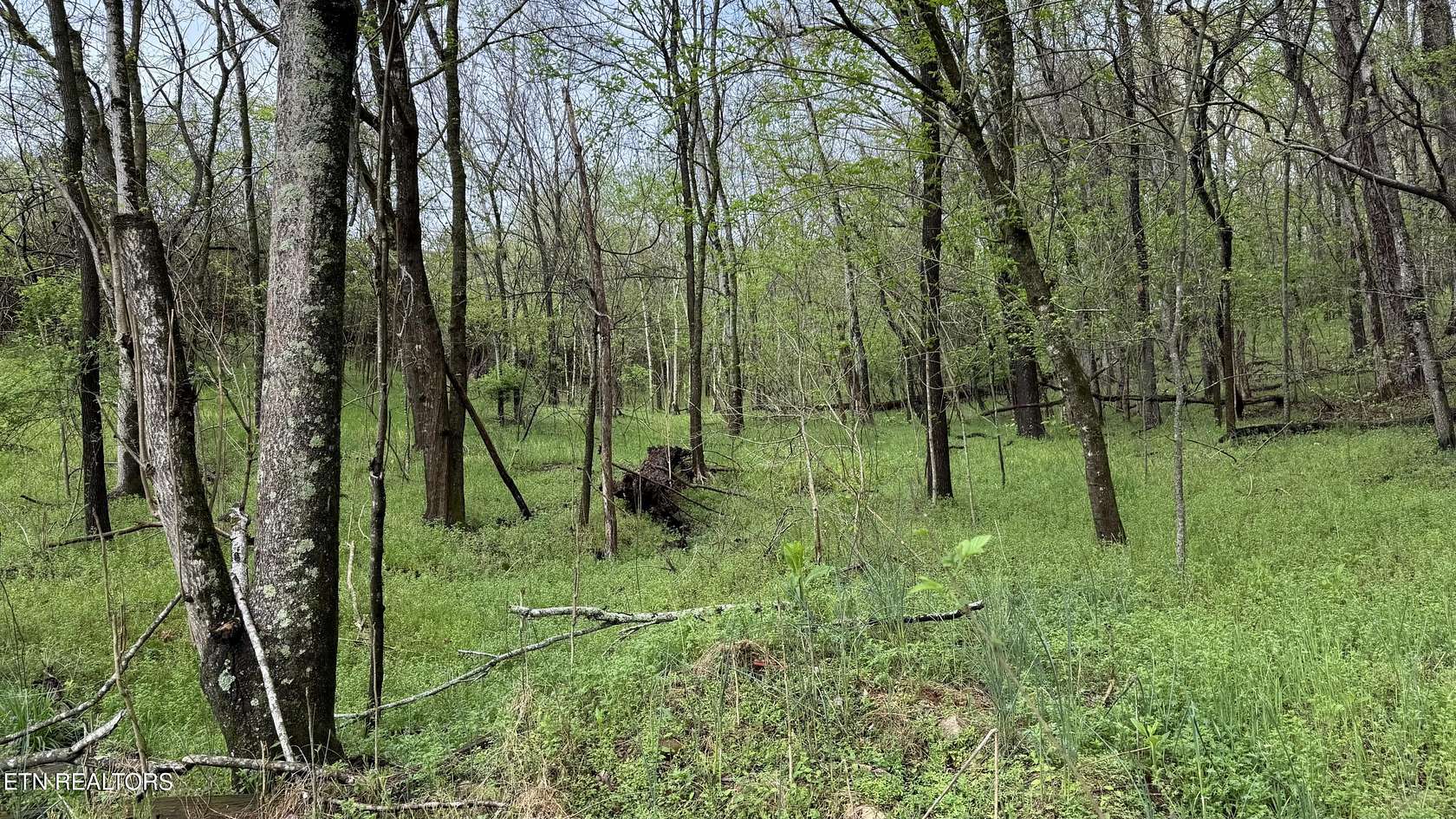 5.7 Acres of Residential Land for Sale in Rutledge, Tennessee