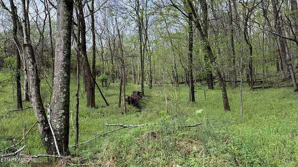 5.7 Acres of Residential Land for Sale in Rutledge, Tennessee