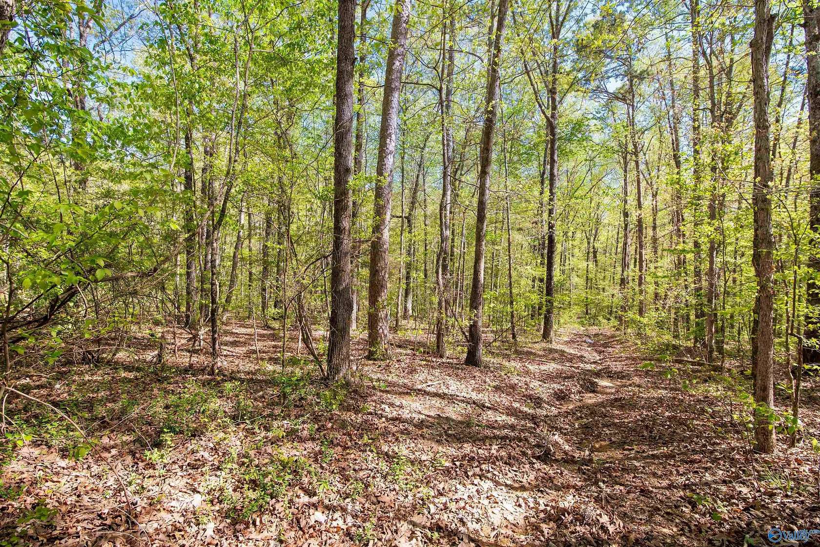 4.6 Acres of Land for Sale in Moulton, Alabama