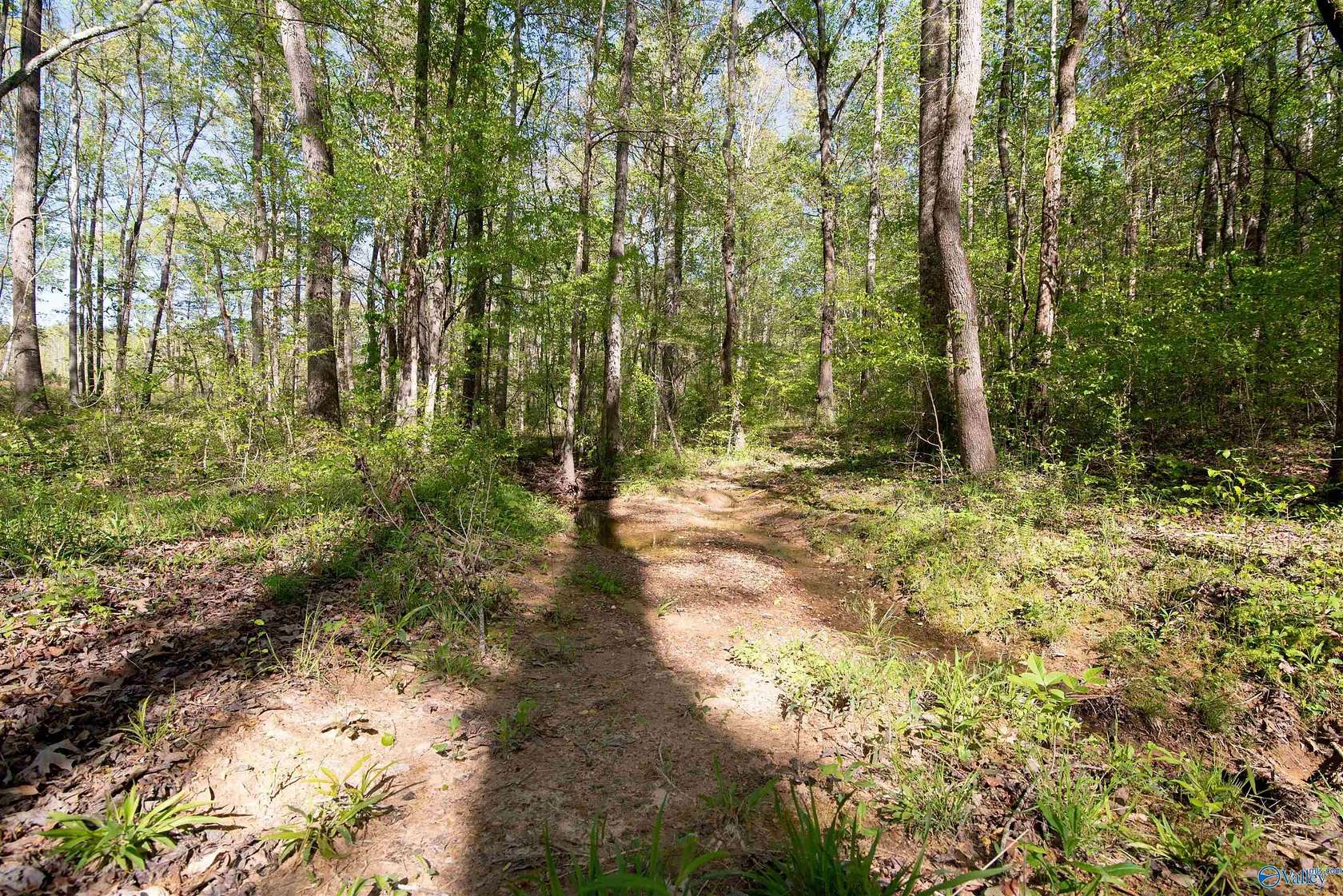4.6 Acres of Residential Land for Sale in Moulton, Alabama