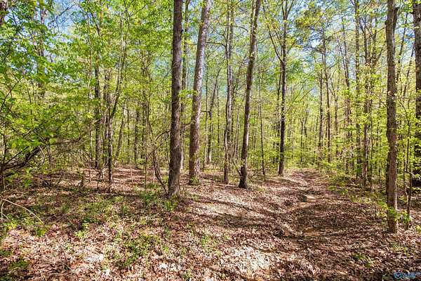 4.6 Acres of Land for Sale in Moulton, Alabama