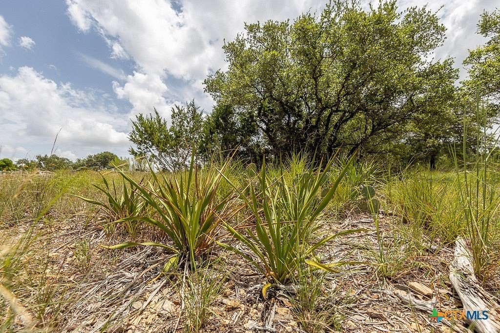 1 Acre of Residential Land for Sale in Canyon Lake, Texas