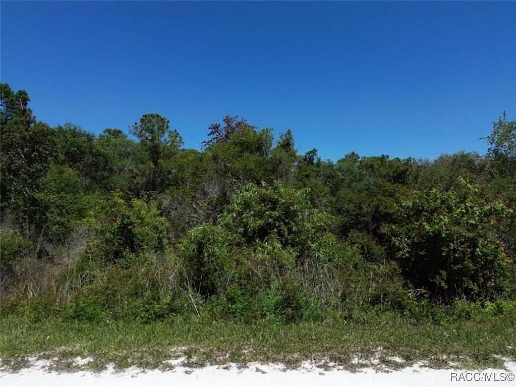 1.16 Acres of Residential Land for Sale in Webster, Florida