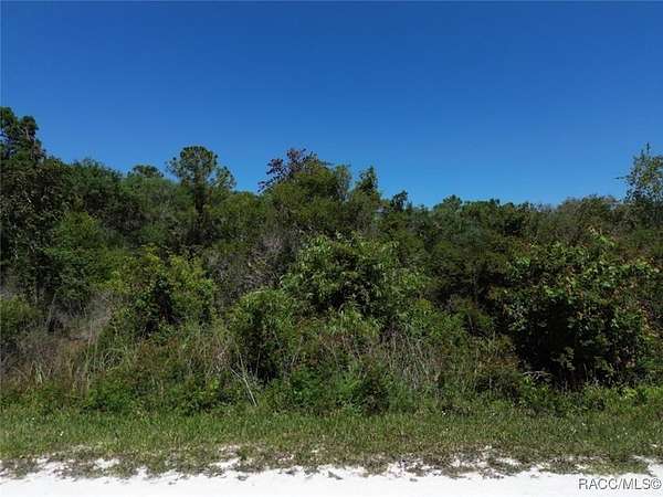 1.16 Acres of Residential Land for Sale in Webster, Florida