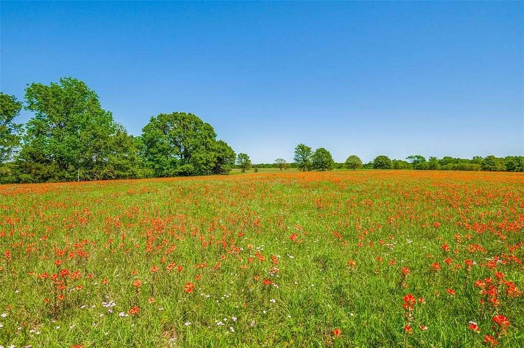 1 Acre of Residential Land for Sale in Streetman, Texas