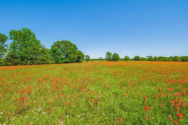 1 Acre of Residential Land for Sale in Streetman, Texas