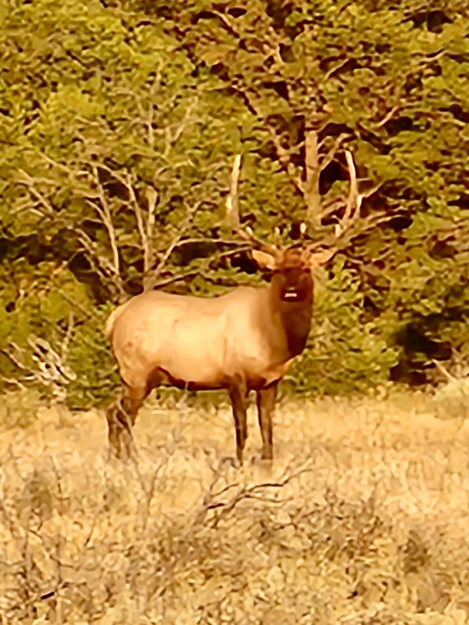 1,010 Acres of Recreational Land for Sale in Regina, New Mexico