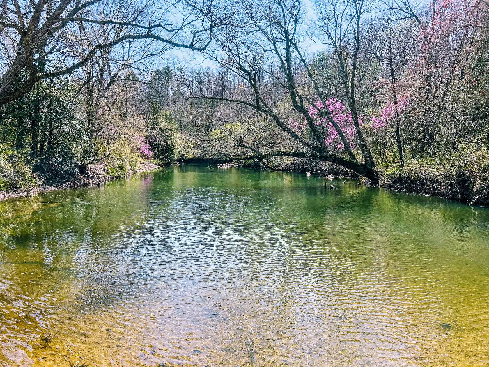 106 Acres of Recreational Land for Sale in Smithville, Oklahoma