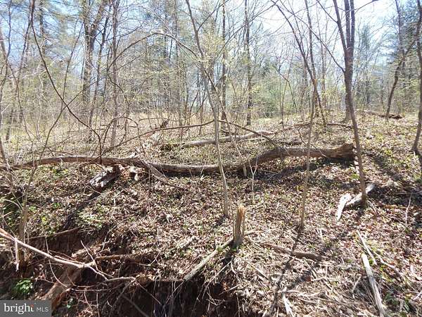 1 Acre of Residential Land for Sale in Hedgesville, West Virginia
